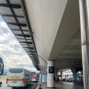 3003 | 부산김해공항에서 부산깡통시장 가는 방법 3003번 버스타기