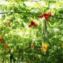 여주-0834 이미지