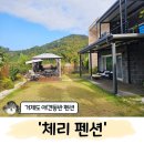 체리애견 | 거제도 애견동반 독채 펜션 추천 '체리' 솔직 후기