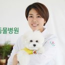 우리들 동물병원 이미지