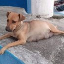 두남자동물병원 이미지