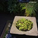 명동6길 이미지