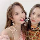 보나 이미지