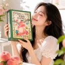 아빠복숭아 | 선물 받으면 기분좋아지는 도화당 미니복숭아 시식 후기