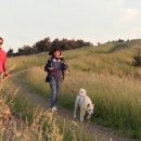 효리네 민박 이미지