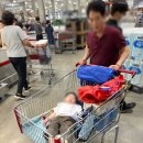 피자코코 | [하남 코스트코] 코코 추천템 핫도그 피자 간식맛집 내돈내산 솔직후기