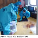 살맛납니다