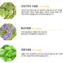 에떼소프트 이미지