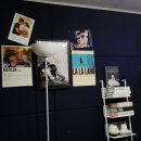 쎌치과의원 이미지