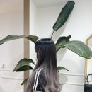 바비앤샵