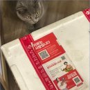 삼학도영덕대게킹크랩 | 🦀 강구항택배 영덕대게센타42호 킹크랩 주문 후기