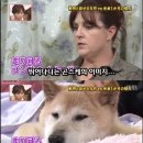 하이디