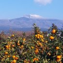 윤정 농장 이미지