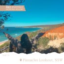 팜로드(주) 이미지