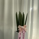 바나다 붙임머리 | 역곡역 붙임머리 오픈예정 바나다에서 자연스러움에 반해보세요 (+ 붙임머리 샵 창업/1인샵 셀프 인테리어)
