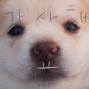 시안반점 이미지