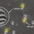 필요한가정의학과의원 이미지