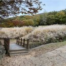 용인자연휴양림 이미지