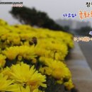 만남 이미지
