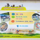 진도 휴게소 스낵바 이미지