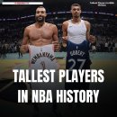 NBA 역사상 가장 키가 큰 선수들 이미지