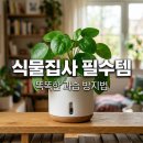 식물 집사 필수템: 스마트 자동 급수 화분 원리와 선택 가이드