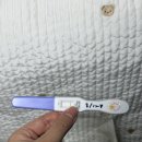 선명약국 | 생리예정일 전 약국 얼리임테기 사용 시기 후기