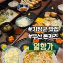 신 뉴 돈카츠 앤 우동 | 기장군 맛집 부산 돈카츠 일향가 일광 본점