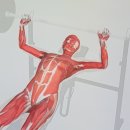 신의료기 이미지