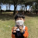 영등근린공원 이미지