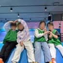 한국체대 라온 태권도장 이미지