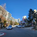 강남-185 이미지