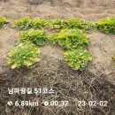 🤠23/02/02일(목) 남파랑길 제18회 첫째날 &#34;51.52구간 (광양~여천)&#34; 이미지