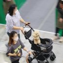 한국펫(주) 이미지