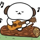 또보리캠프 이미지