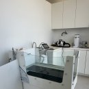 오롯이;독 | 애견유치원 멍쓰홀릭에서 독피트니스 수중런닝 체험한 후기