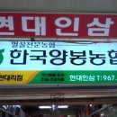 현대인삼 이미지