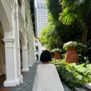 아틀라스 트레이닝(Atlas) | 🫖 싱가포르 | Atlas Bar 아틀라스 바 애프터눈티 후기 | Raffles Hotel Singapore 래플즈 호텔