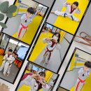 청록태권도장 이미지