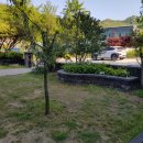 김명옥 펜션 이미지