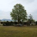 수남초교 이미지