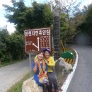 한천자연휴양림 이미지