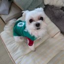 PK 모터스 이미지