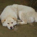 철구농장 이미지