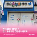 청춘동물약국 네이버블로그