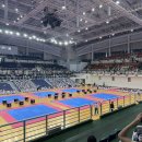 용인대 무궁화 태권도장 이미지