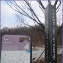 올레길 산림형 3코스 이미지