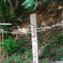 대치초등학교 이미지