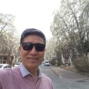 목련 꽃 만개 했어요, 대구 목련 꽃 명소, 수성구 지산동 지산목련아파트, 대구시화 목련