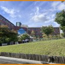 지노카서비스 이미지